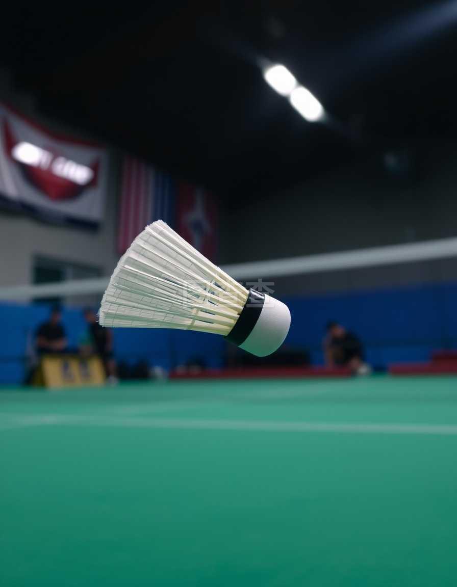 术的支持 术的支持